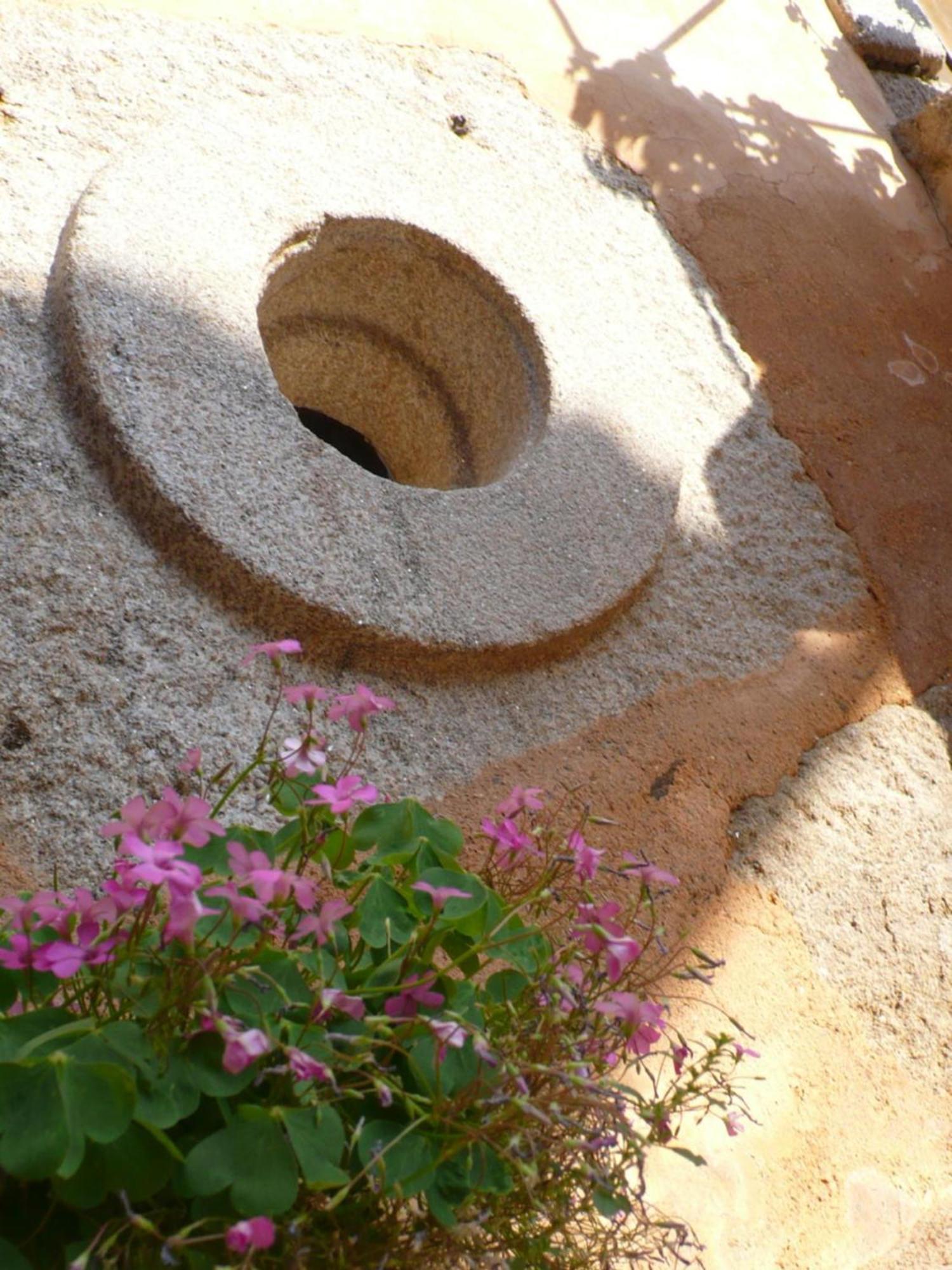 Affittacamere Casa da Ti Cura Atenor Esterno foto